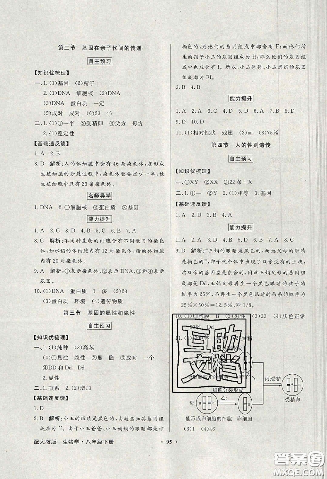 新世紀(jì)出版社2020同步導(dǎo)學(xué)與優(yōu)化訓(xùn)練八年級生物學(xué)下冊人教版答案