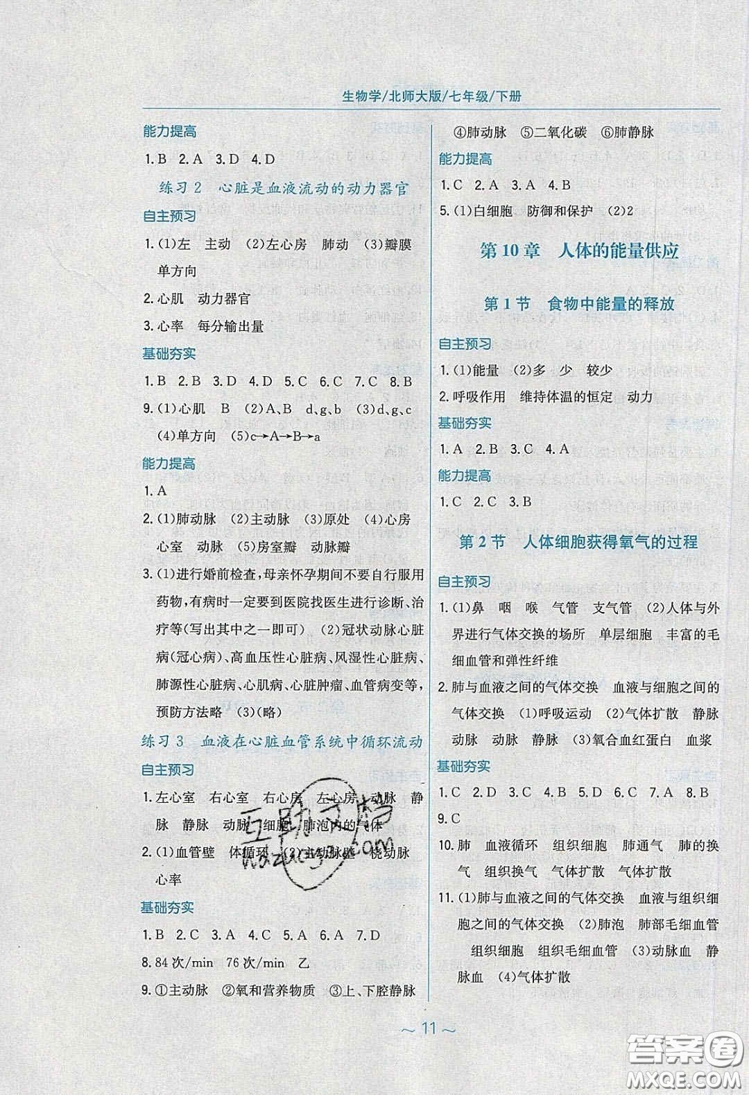 2020年新編基礎(chǔ)訓(xùn)練七年級(jí)生物學(xué)下冊(cè)北師大版答案