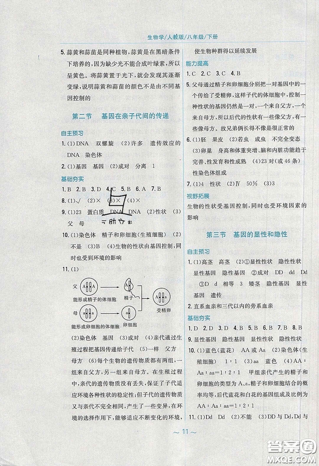 安徽教育出版社2020年新編基礎(chǔ)訓(xùn)練八年級生物學(xué)下冊人教版答案