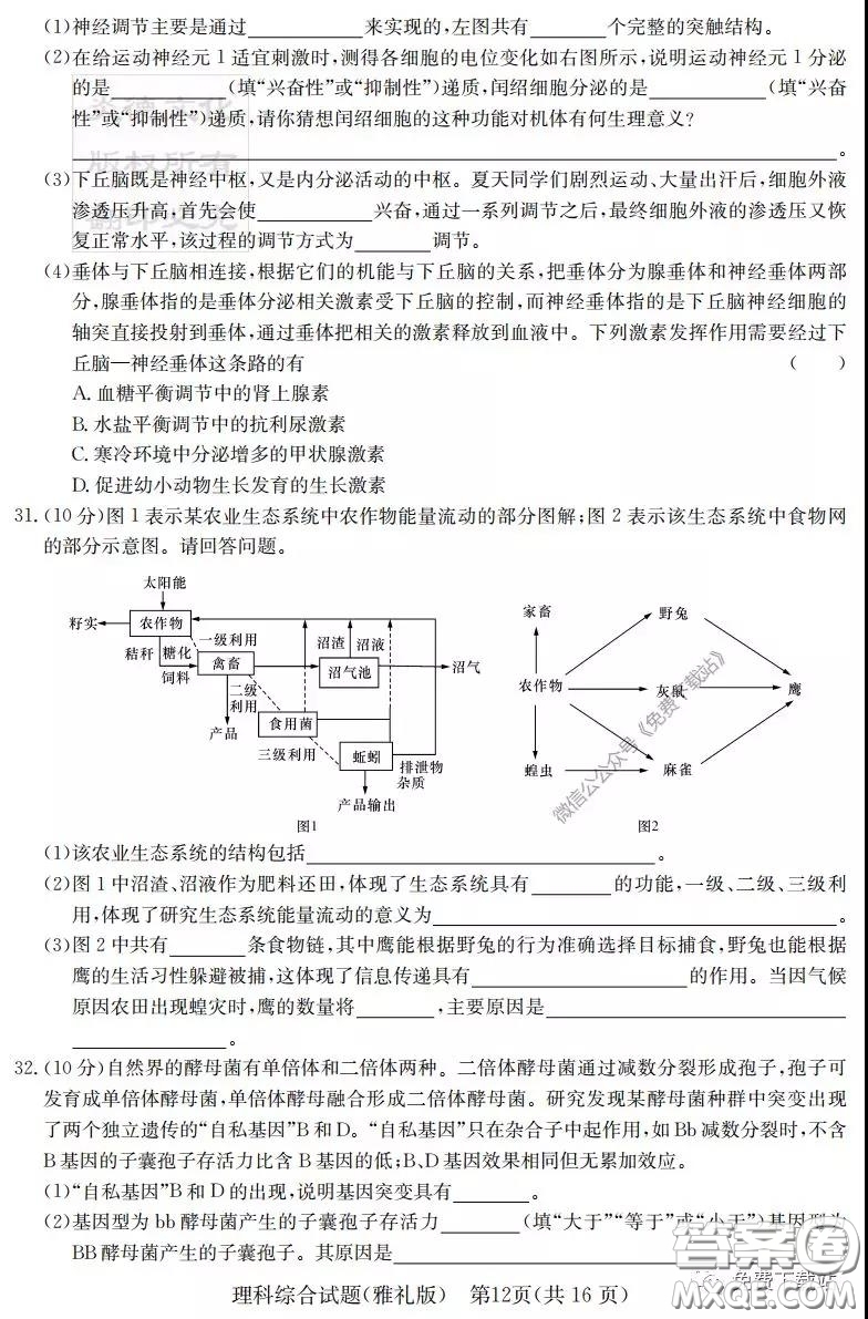 炎德英才大聯(lián)考雅禮中學(xué)2020屆高三月考試卷七理科綜合試題及答案