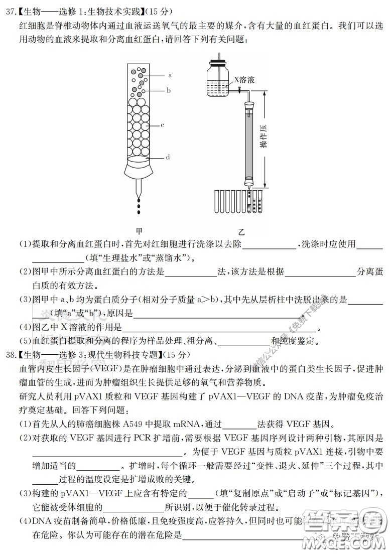 炎德英才大聯(lián)考雅禮中學(xué)2020屆高三月考試卷七理科綜合試題及答案