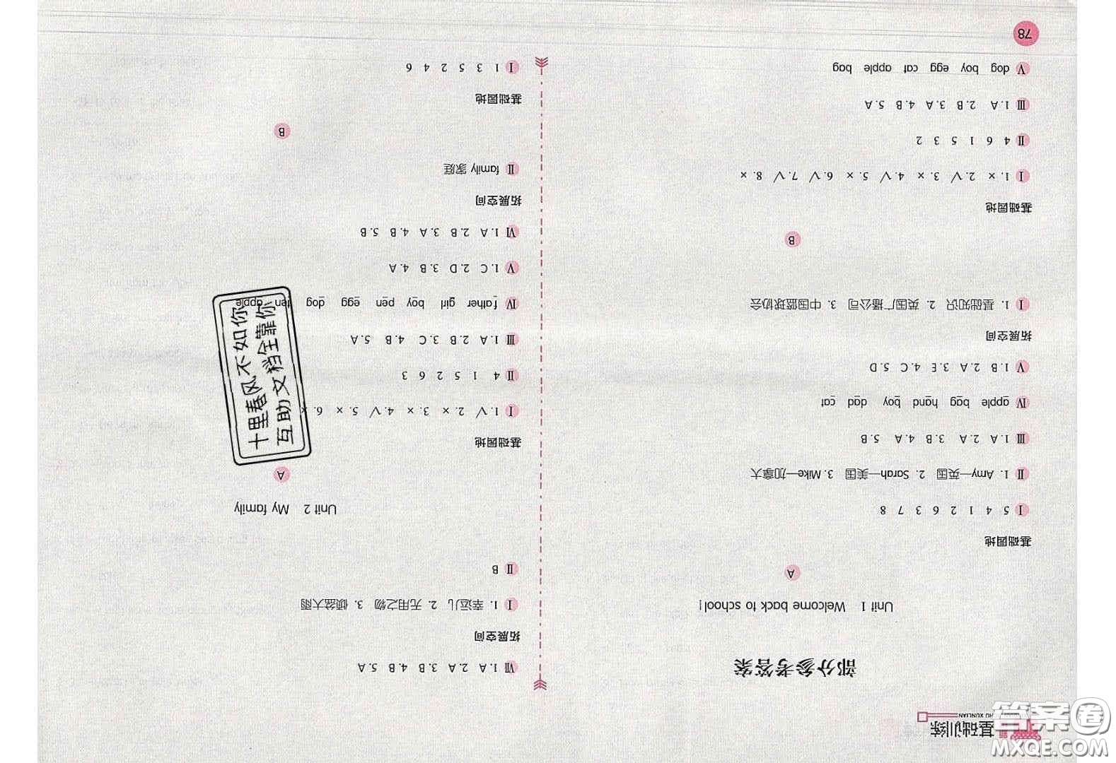 2020年新編基礎(chǔ)訓(xùn)練三年級英語下冊人教版答案