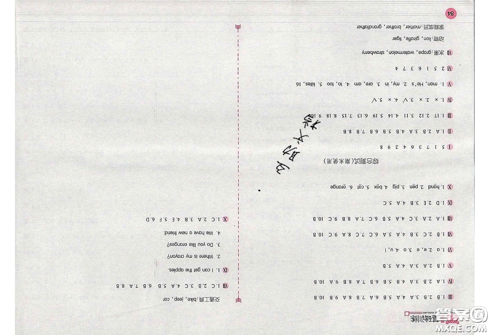 2020年新編基礎(chǔ)訓(xùn)練三年級英語下冊人教版答案
