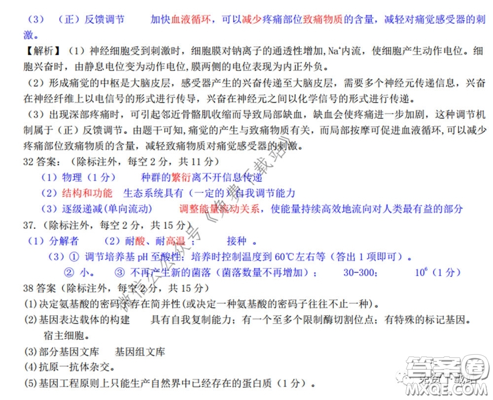 2020年長郡中學(xué)高三聽課不停學(xué)階段性檢測二理科綜合試題及答案