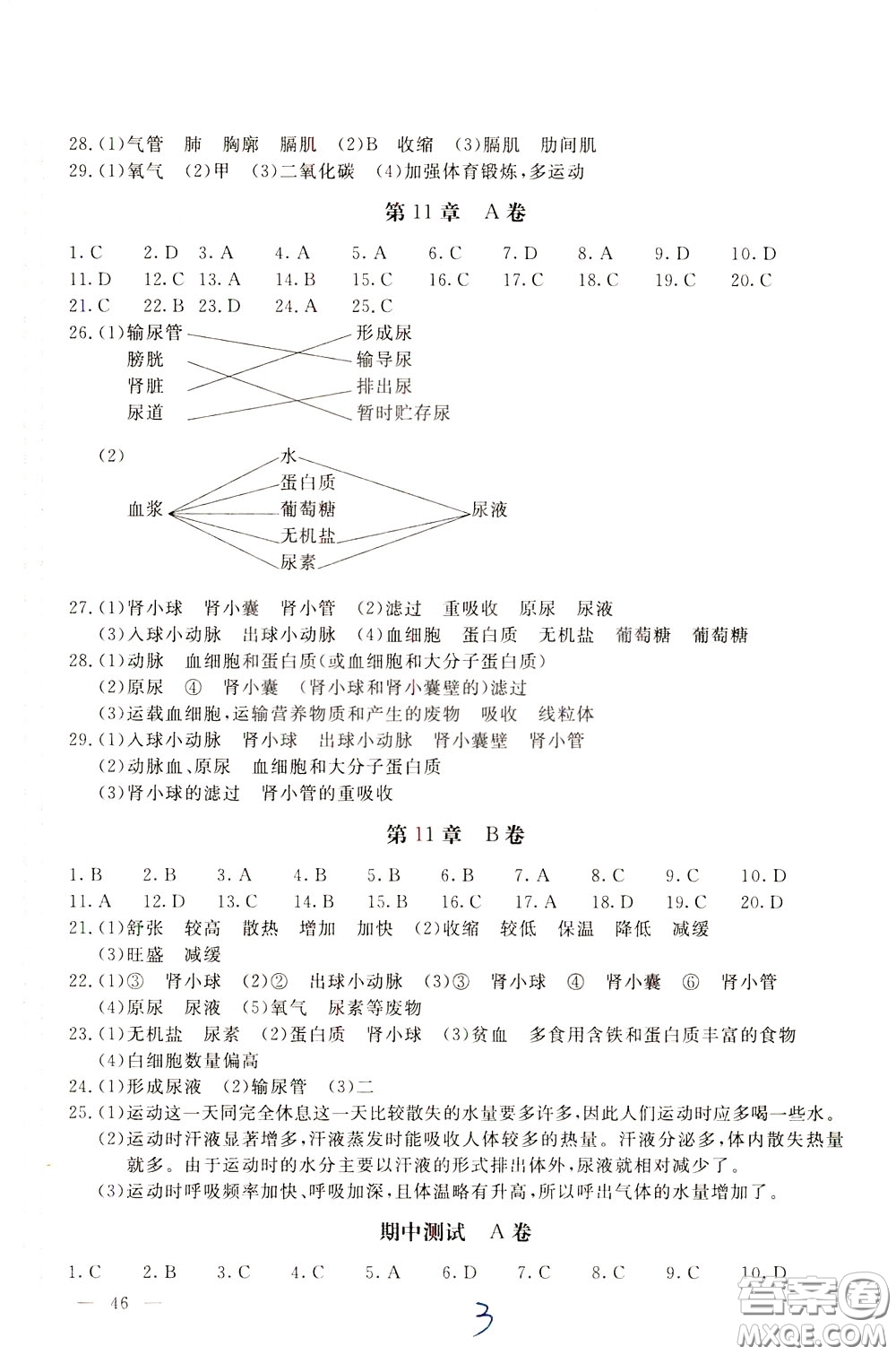 2020年新課堂AB卷單元測試生物學(xué)七年級下冊河北教育版參考答案