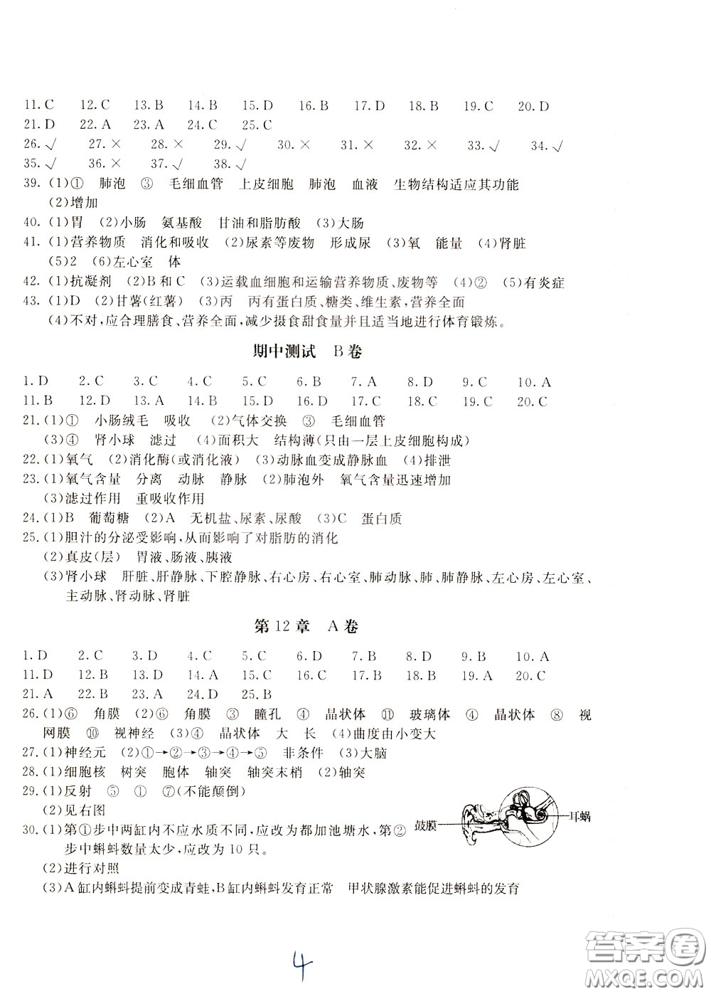 2020年新課堂AB卷單元測試生物學(xué)七年級下冊河北教育版參考答案