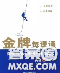 2020新版點(diǎn)石成金金牌每課通八年級(jí)英語(yǔ)下冊(cè)外研版答案