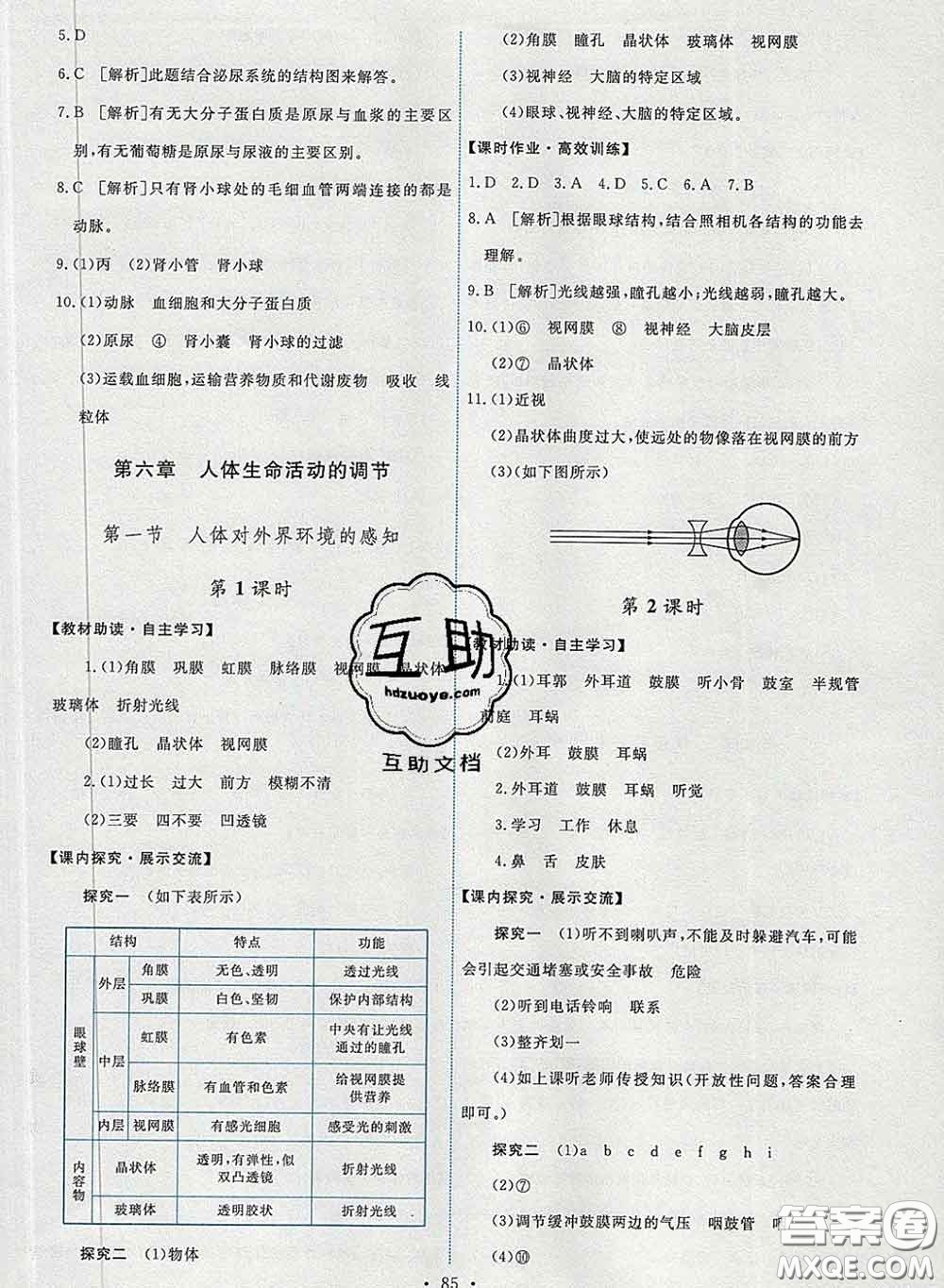 2020春能力培養(yǎng)與測(cè)試七年級(jí)生物下冊(cè)人教版答案
