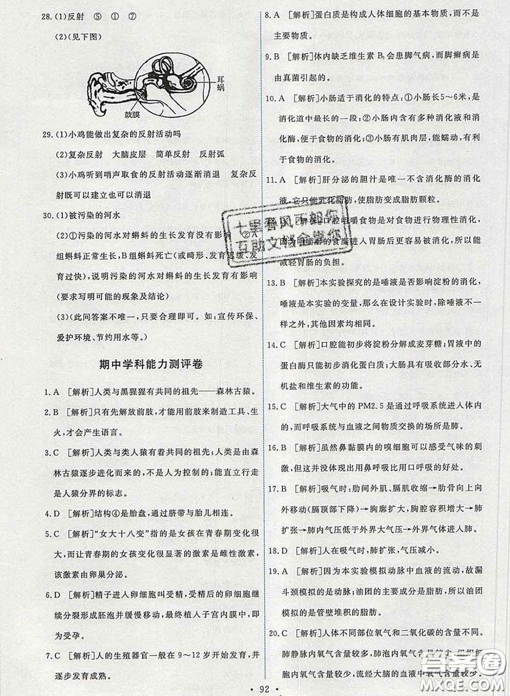 2020春能力培養(yǎng)與測(cè)試七年級(jí)生物下冊(cè)人教版答案