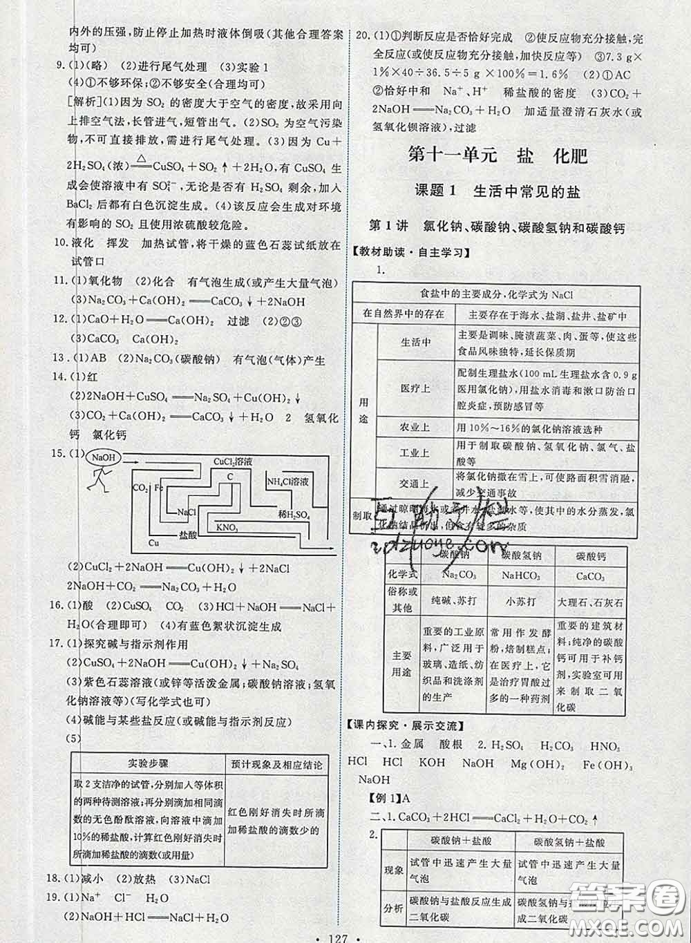 2020春能力培養(yǎng)與測試九年級化學(xué)下冊人教版答案
