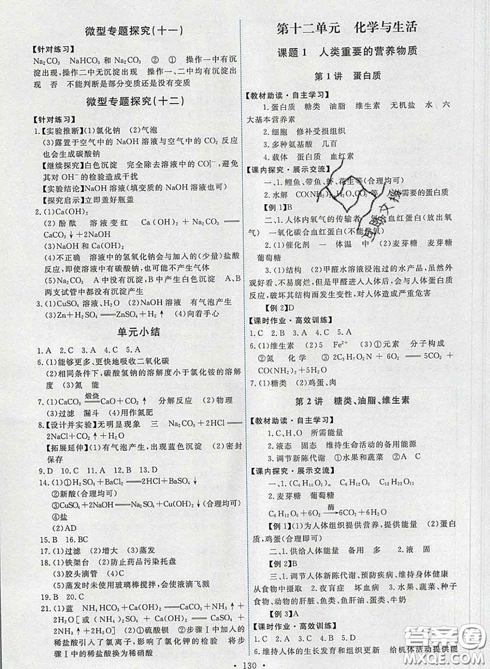 2020春能力培養(yǎng)與測試九年級化學(xué)下冊人教版答案
