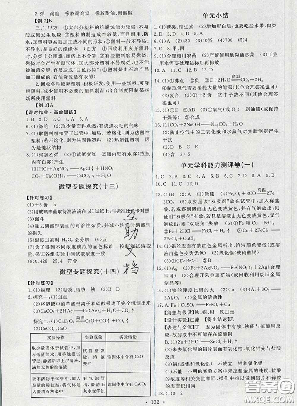 2020春能力培養(yǎng)與測試九年級化學(xué)下冊人教版答案