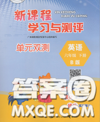 2020新版新課程學(xué)習(xí)與測(cè)評(píng)單元雙測(cè)六年級(jí)英語(yǔ)下冊(cè)B版答案