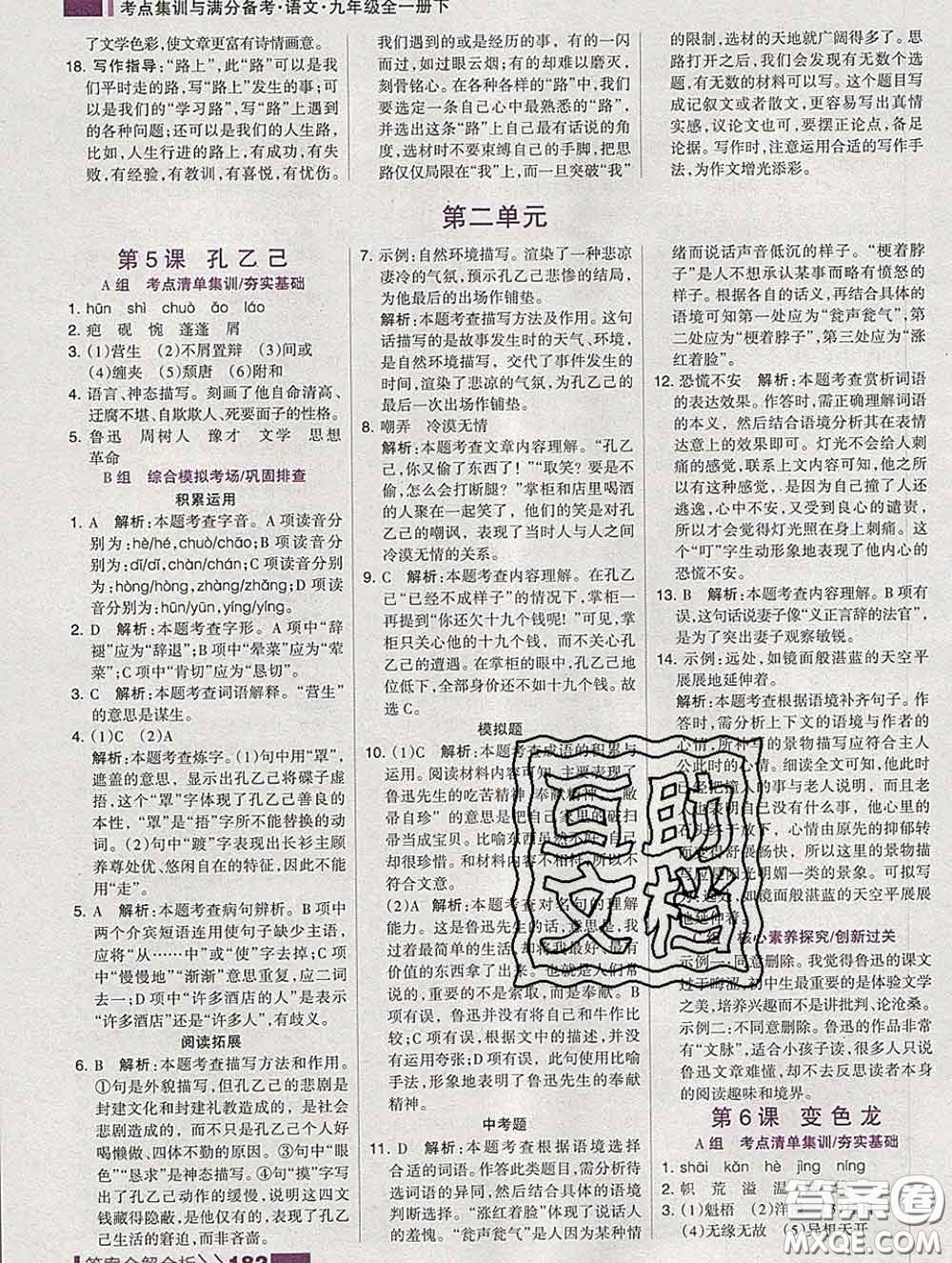 2020新版考點(diǎn)集訓(xùn)與滿分備考九年級語文下冊人教版答案