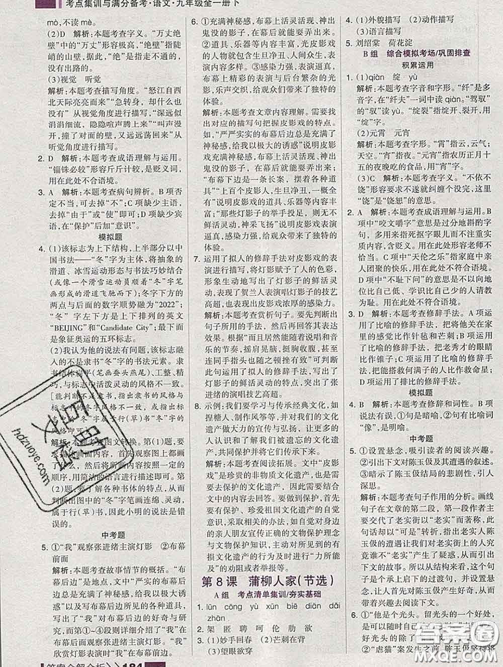 2020新版考點(diǎn)集訓(xùn)與滿分備考九年級語文下冊人教版答案
