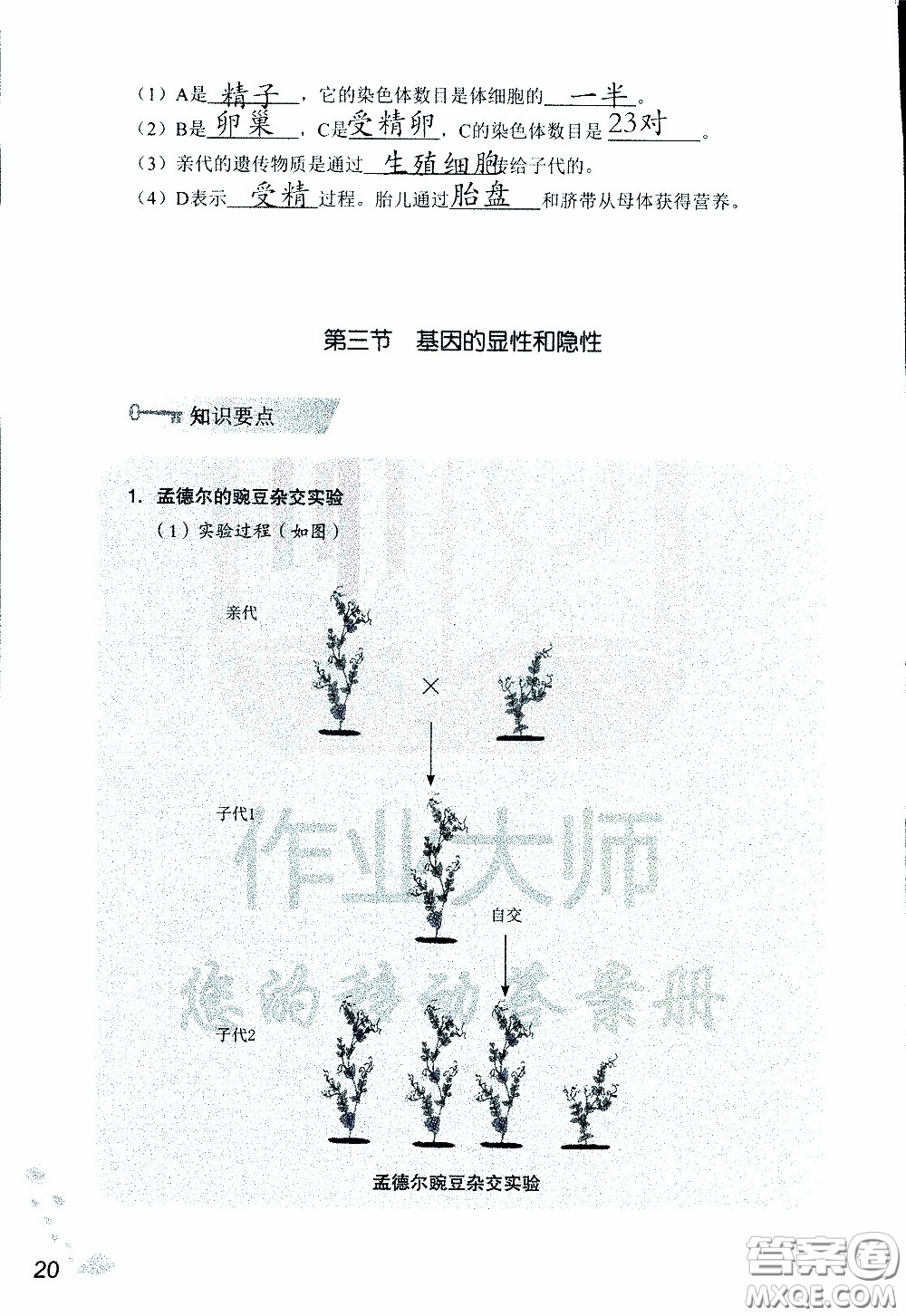 2020年知識與能力訓(xùn)練八年級下冊生物學(xué)人教版參考答案