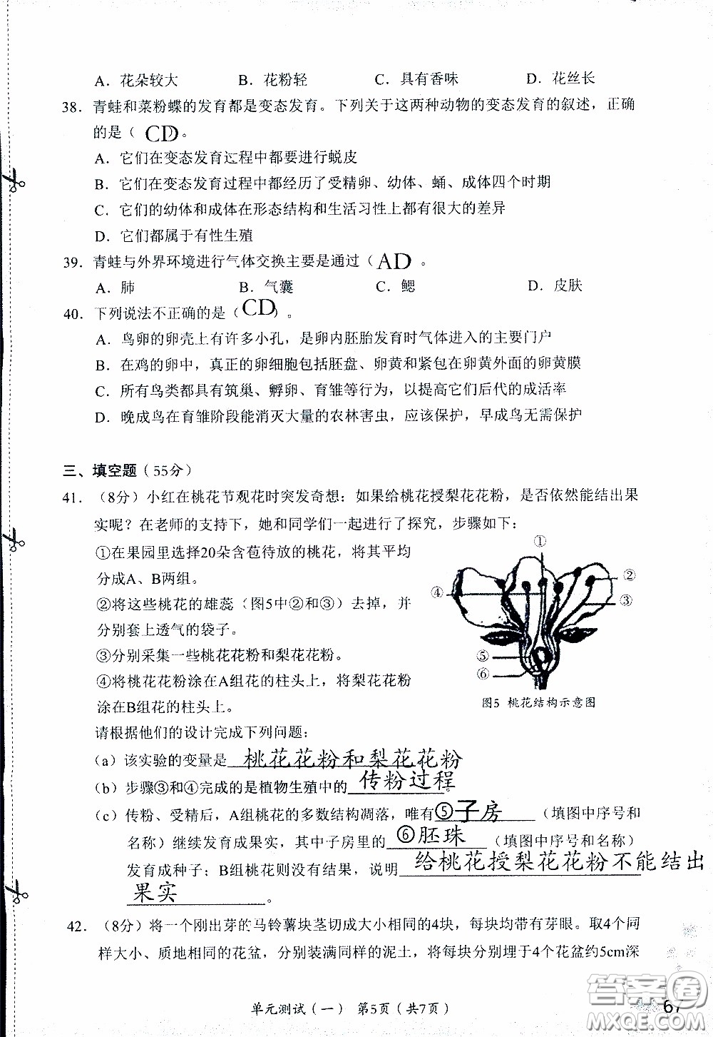 2020年知識與能力訓(xùn)練八年級下冊生物學(xué)人教版參考答案