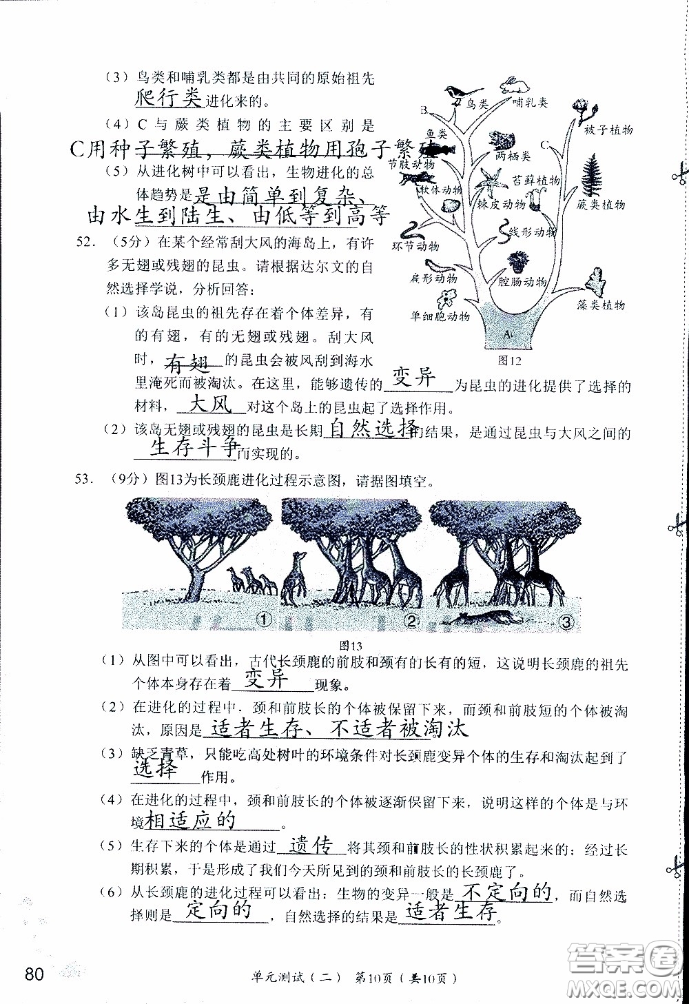 2020年知識與能力訓(xùn)練八年級下冊生物學(xué)人教版參考答案