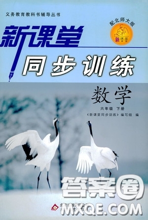 北京教育出版社2020新課堂同步訓(xùn)練六年級(jí)數(shù)學(xué)下冊(cè)北師大版答案