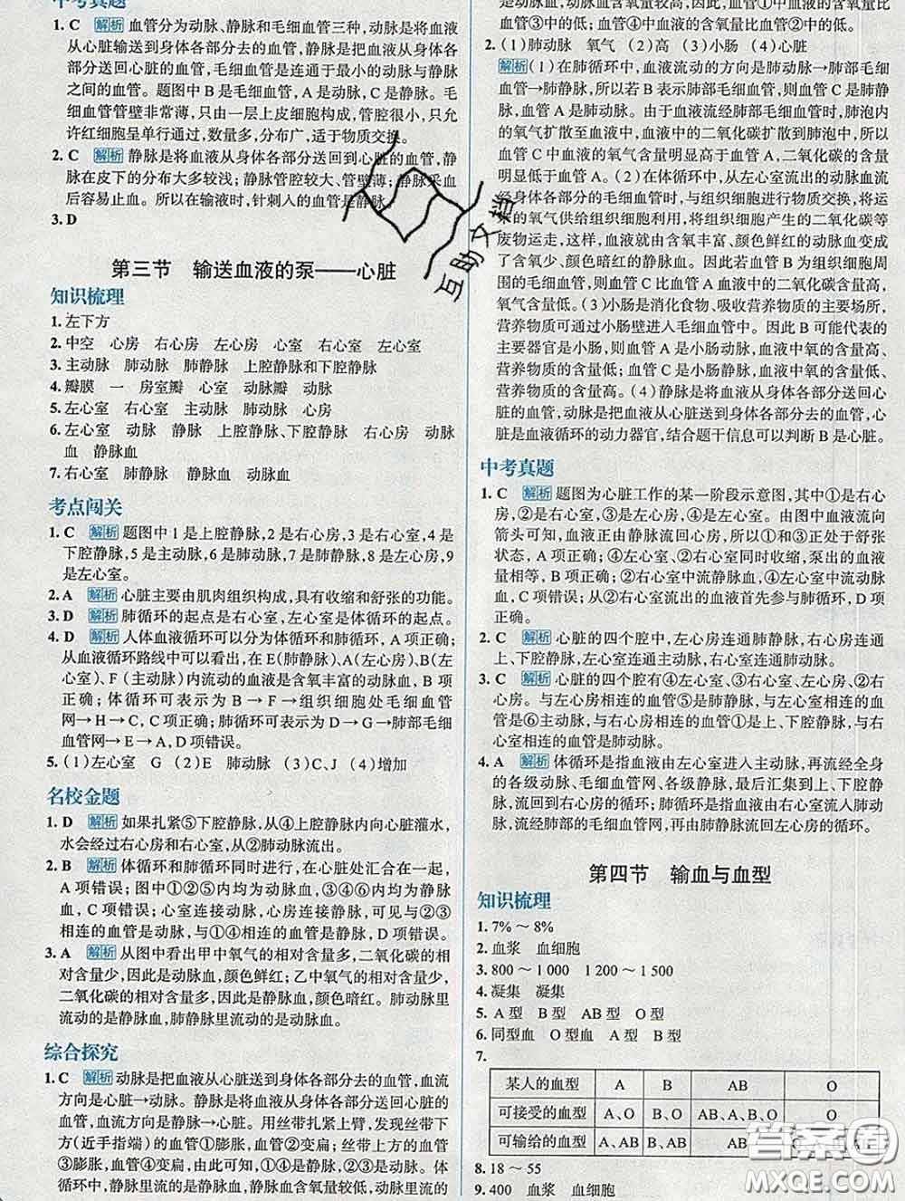 現(xiàn)代教育出版社2020新版走向中考考場七年級(jí)生物下冊(cè)人教版答案