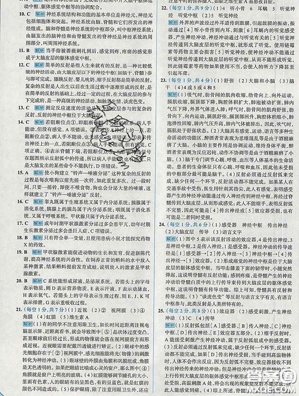 現(xiàn)代教育出版社2020新版走向中考考場七年級(jí)生物下冊(cè)人教版答案