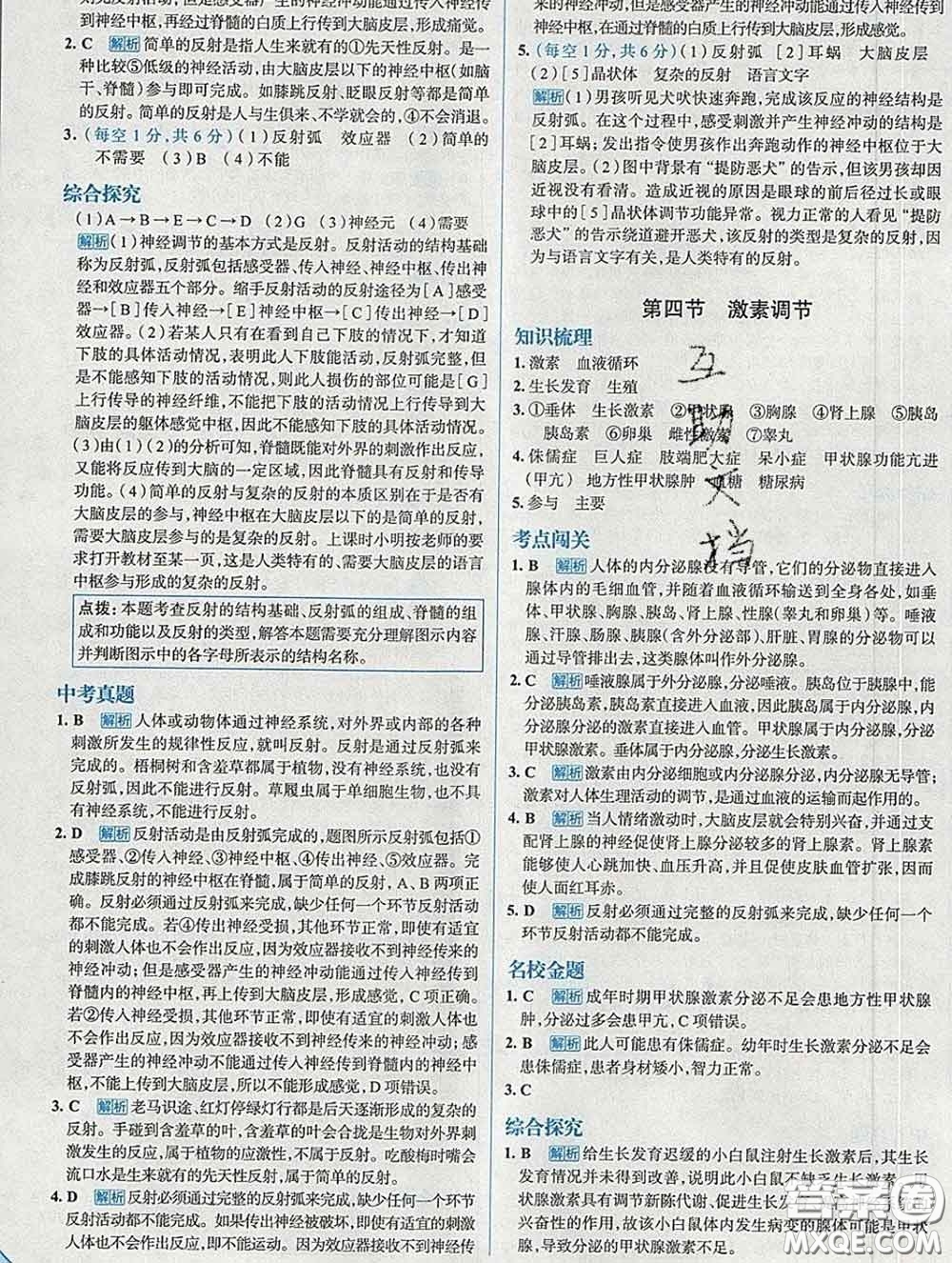 現(xiàn)代教育出版社2020新版走向中考考場七年級(jí)生物下冊(cè)人教版答案
