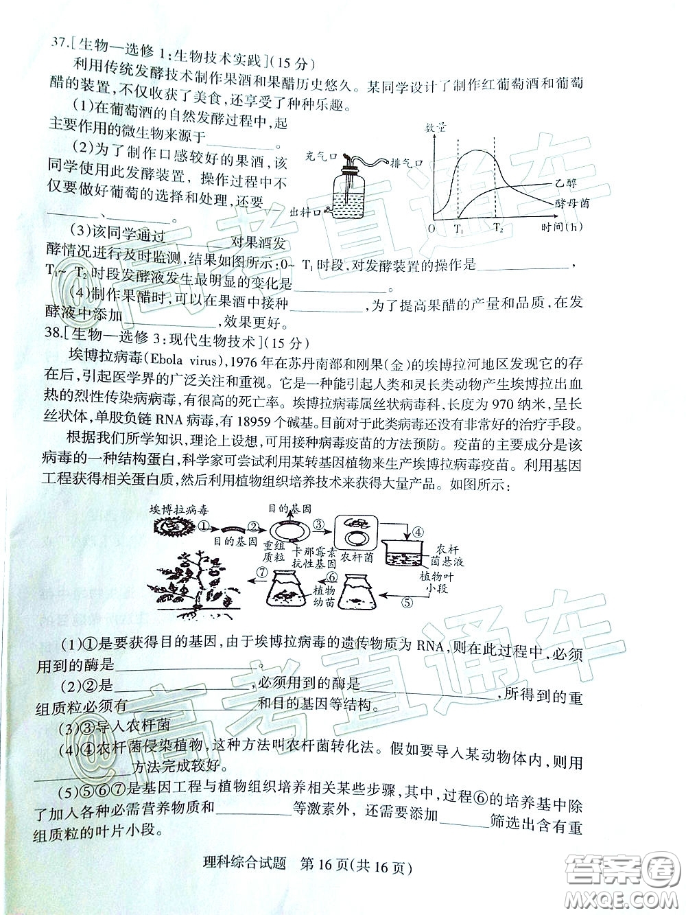 2020年陽泉市高三第一次教學(xué)質(zhì)量監(jiān)測試題理科綜合答案