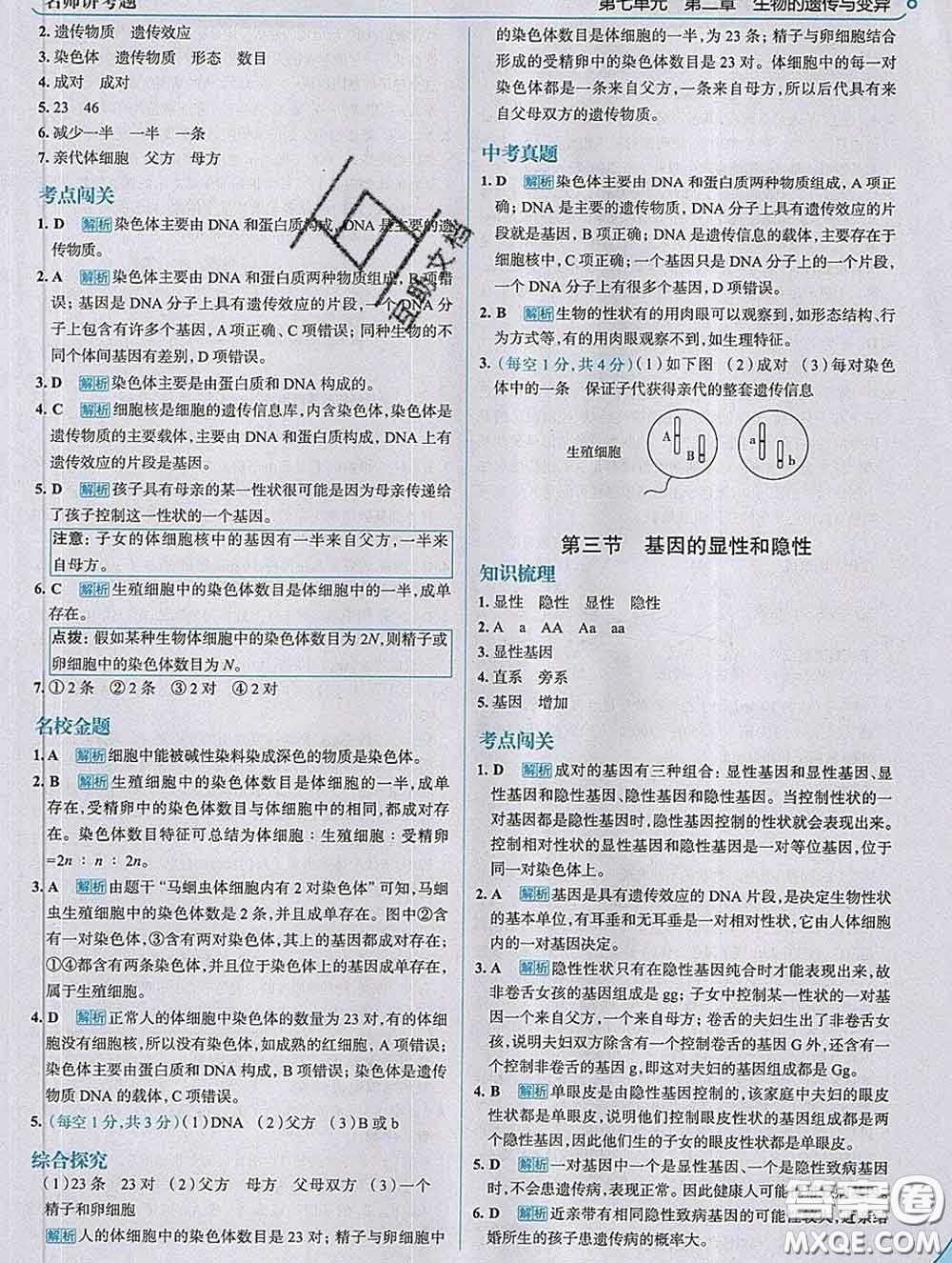 現(xiàn)代教育出版社2020新版走向中考考場八年級生物下冊人教版答案