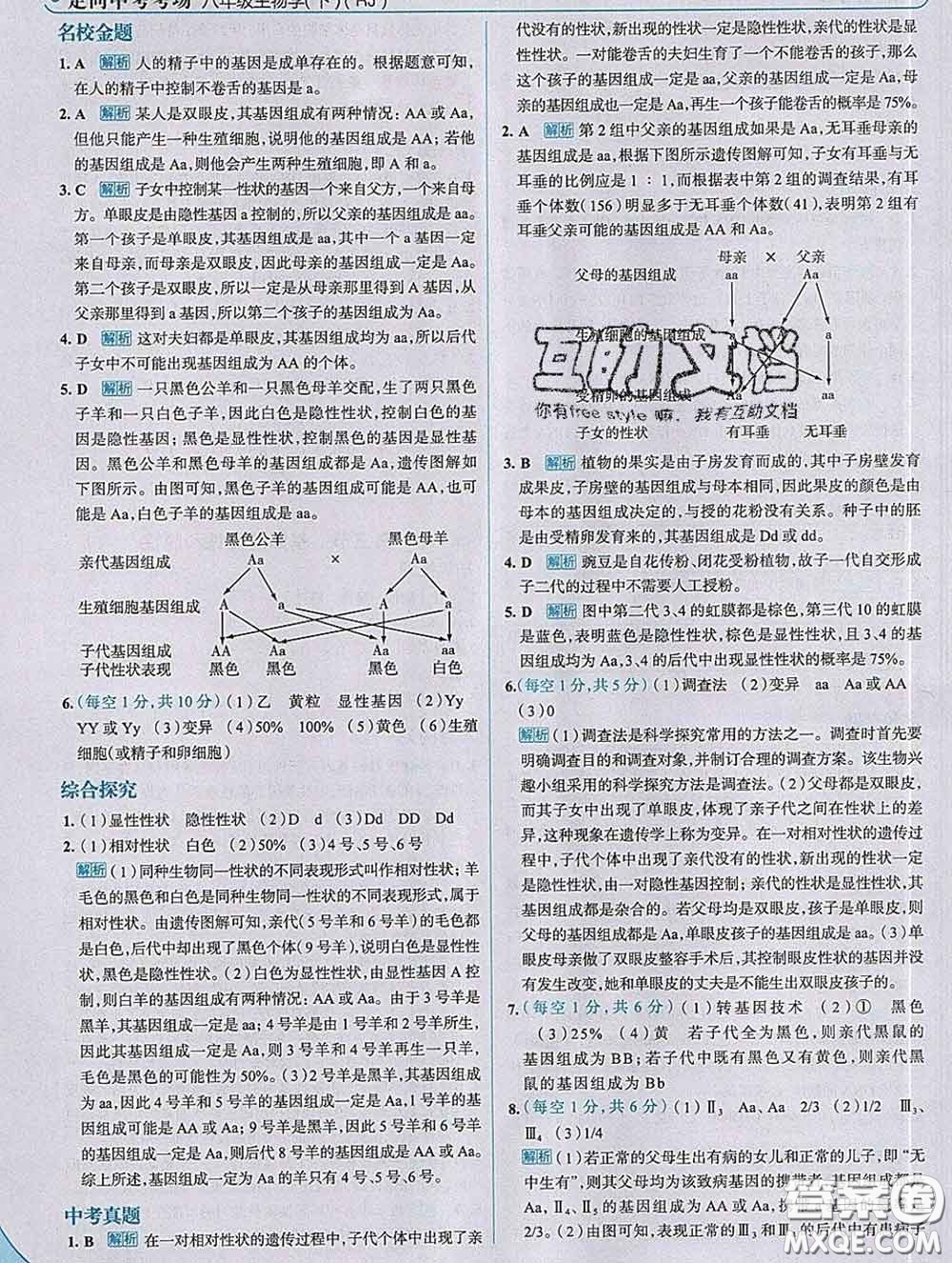 現(xiàn)代教育出版社2020新版走向中考考場八年級生物下冊人教版答案