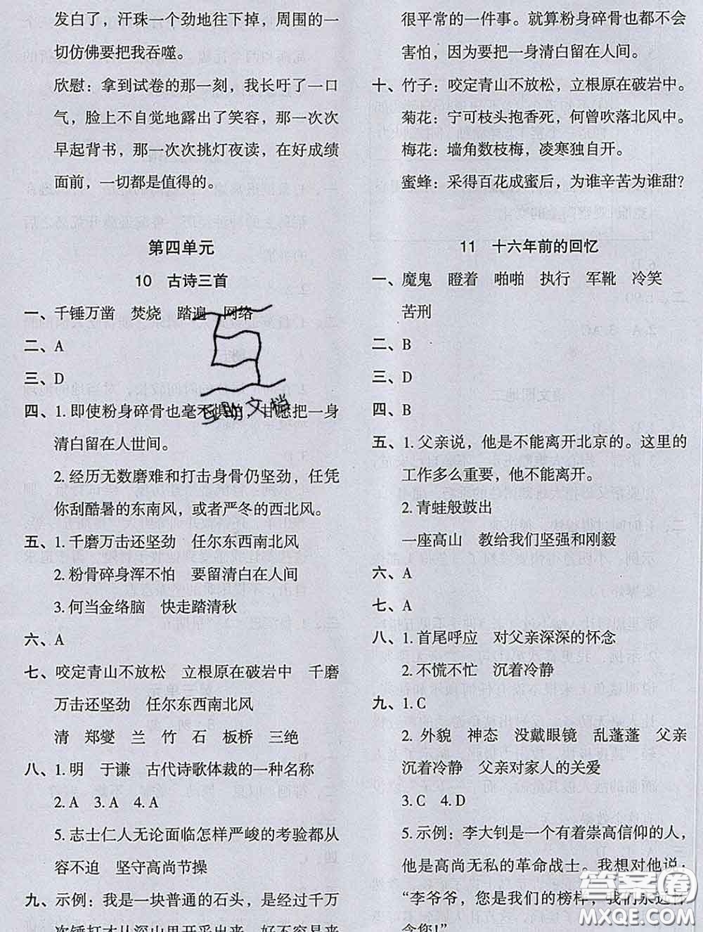 2020新版木頭馬分層課課練小學(xué)語文六年級(jí)下冊(cè)人教版答案