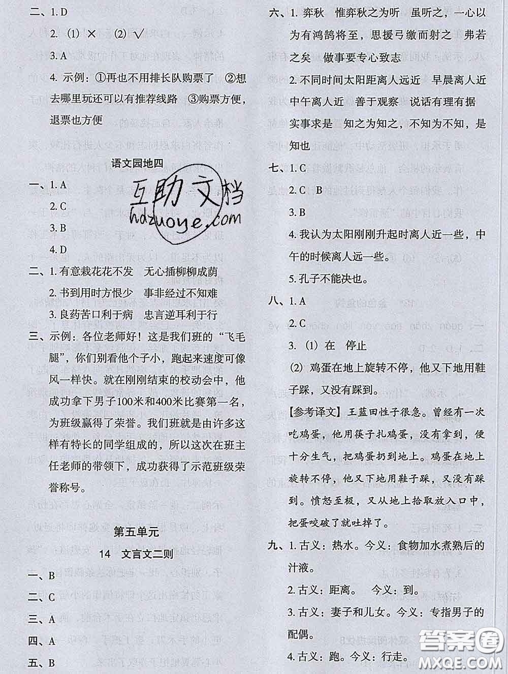 2020新版木頭馬分層課課練小學(xué)語文六年級(jí)下冊(cè)人教版答案