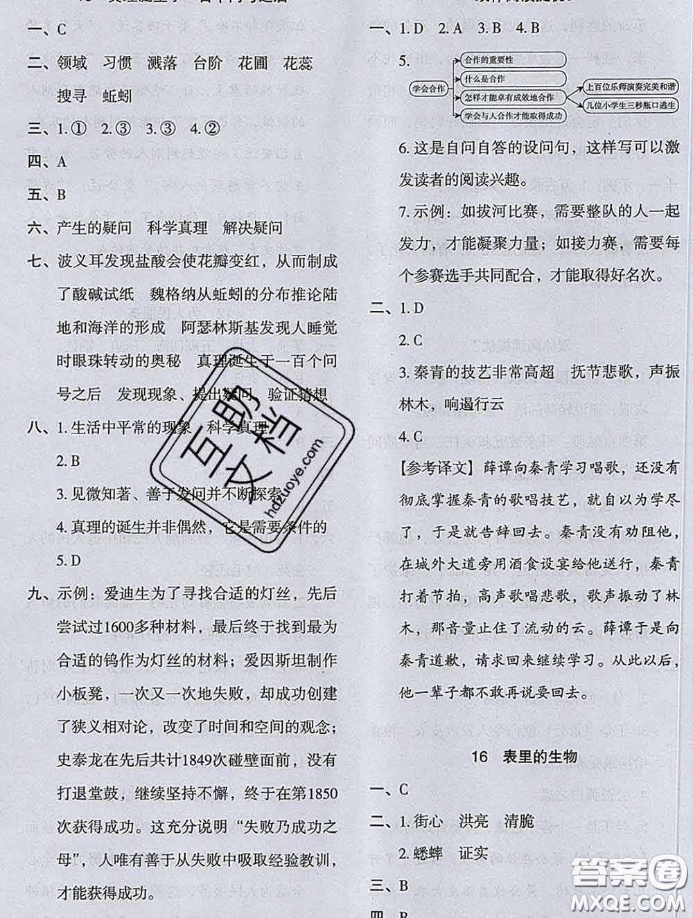 2020新版木頭馬分層課課練小學(xué)語文六年級(jí)下冊(cè)人教版答案