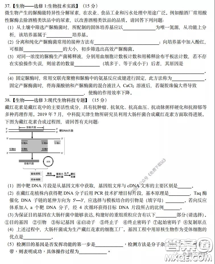 長(zhǎng)郡中學(xué)2020屆高三理綜訓(xùn)練七試題及答案