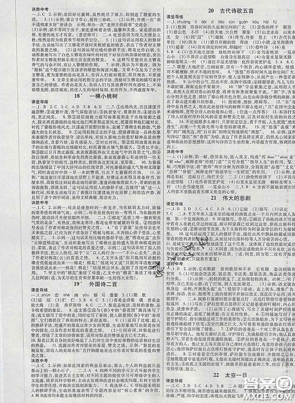 2020新版高分突破課時(shí)達(dá)標(biāo)講練測(cè)七年級(jí)語(yǔ)文下冊(cè)人教版答案