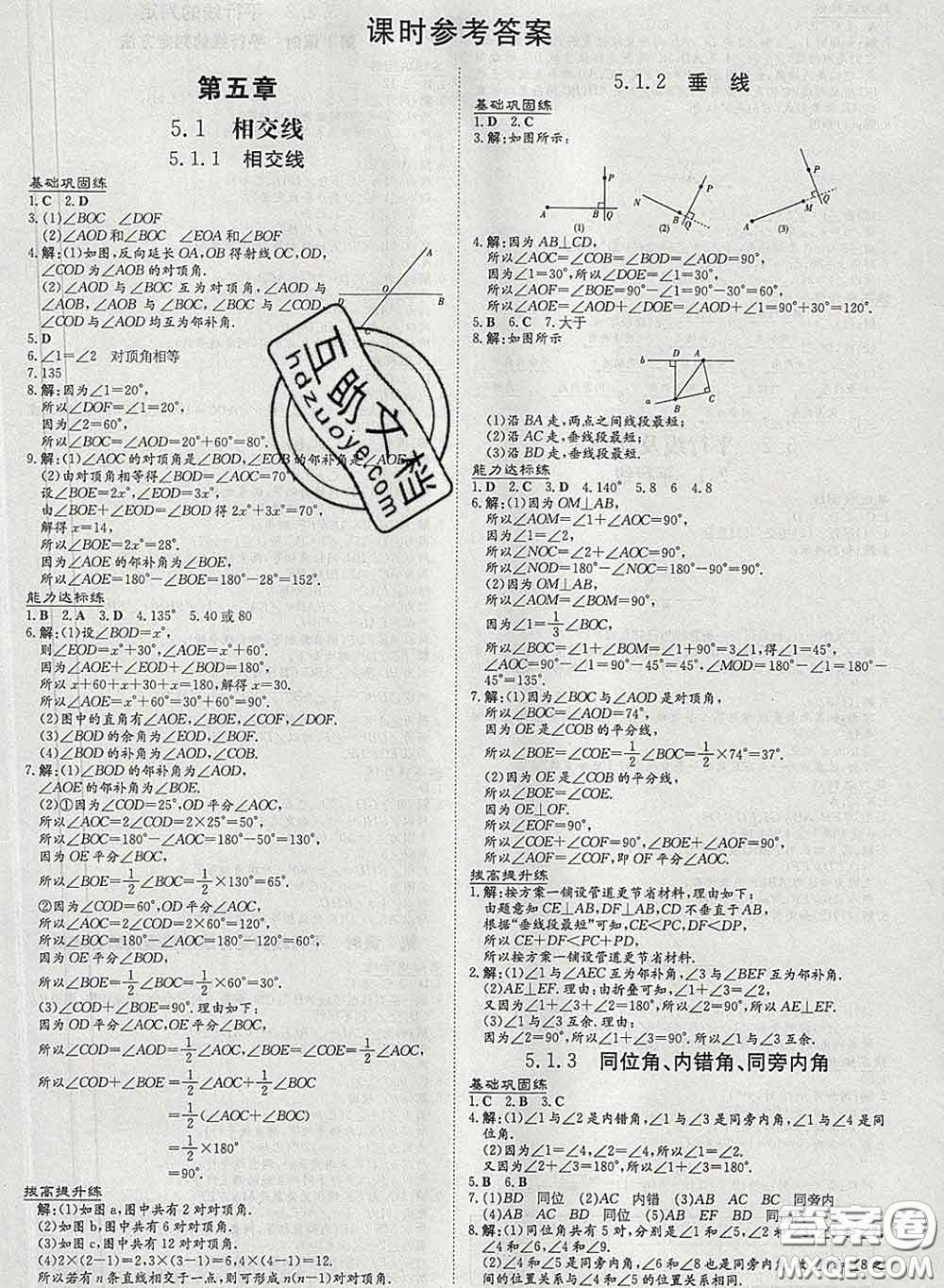 2020新版練案課時(shí)作業(yè)本七年級數(shù)學(xué)下冊人教版答案