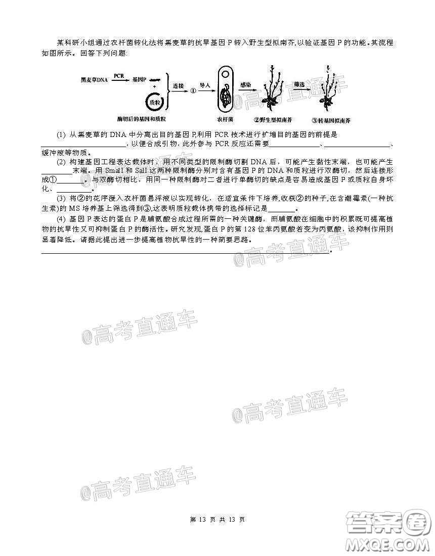 柳州高級中學(xué)2020屆高三4月線上測試?yán)砜凭C合試題及答案