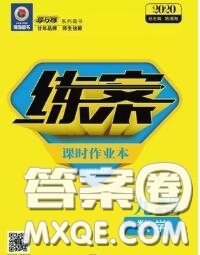 2020新版練案課時作業(yè)本九年級數(shù)學(xué)下冊人教版答案