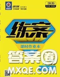 2020新版練案課時作業(yè)本九年級語文下冊人教版答案