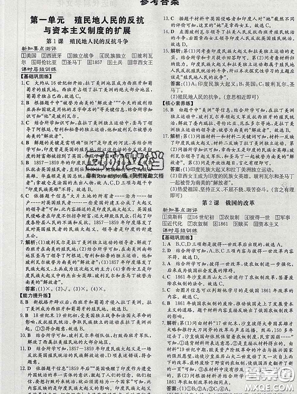 2020新版練案課時作業(yè)本九年級歷史下冊人教版答案