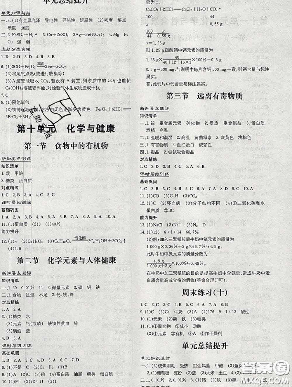 2020新版練案課時(shí)作業(yè)本九年級化學(xué)下冊魯教版答案