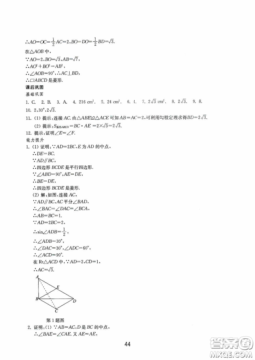 山東教育出版社2020初中基礎(chǔ)訓(xùn)練八年級(jí)數(shù)學(xué)下冊(cè)54學(xué)制答案