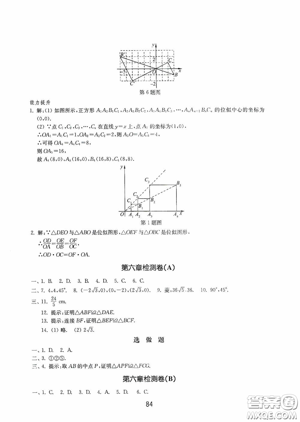 山東教育出版社2020初中基礎(chǔ)訓(xùn)練八年級(jí)數(shù)學(xué)下冊(cè)54學(xué)制答案
