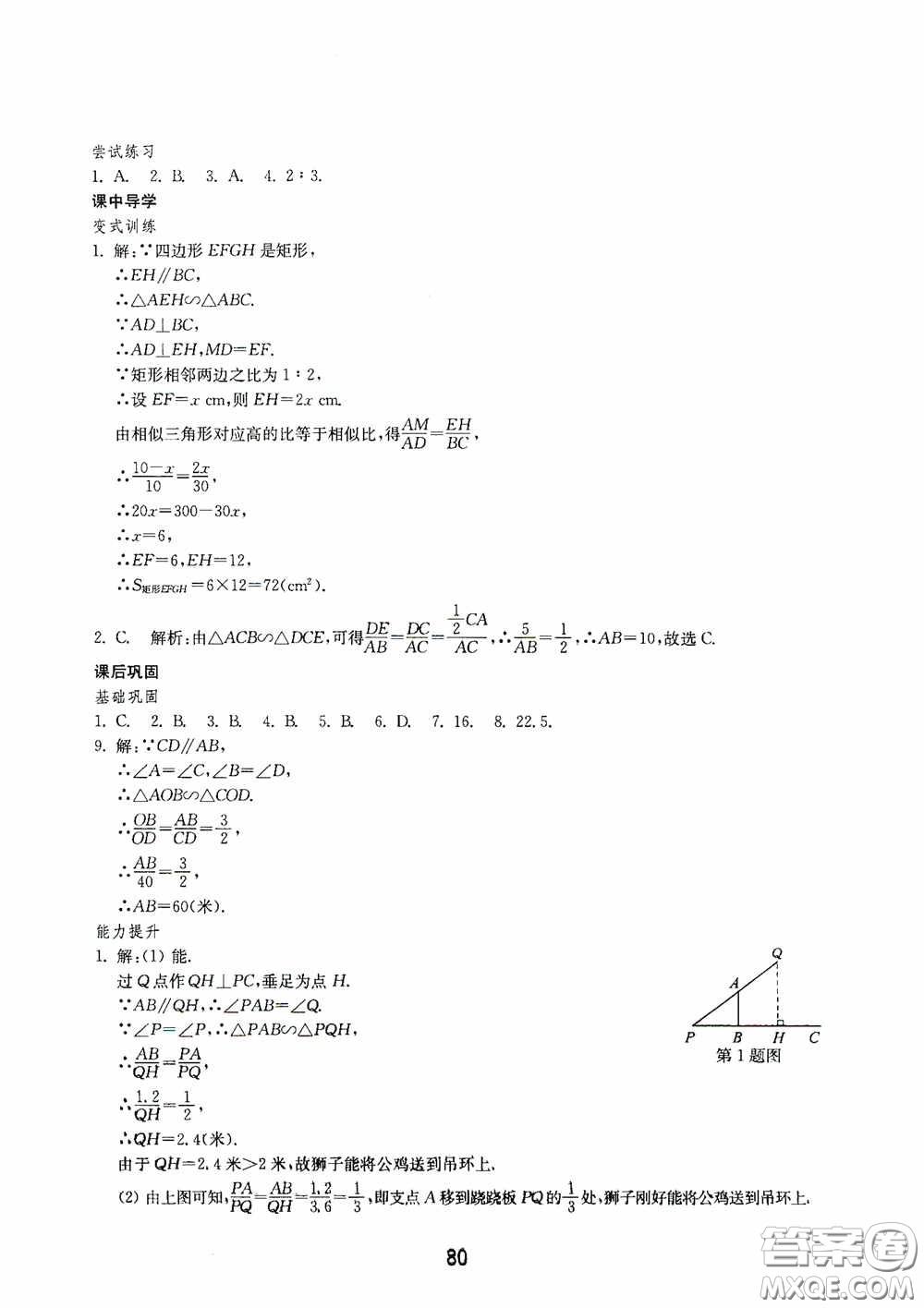 山東教育出版社2020初中基礎(chǔ)訓(xùn)練八年級(jí)數(shù)學(xué)下冊(cè)54學(xué)制答案