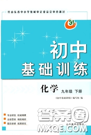 山東教育出版社2020初中基礎(chǔ)訓(xùn)練九年級(jí)化學(xué)下冊(cè)54學(xué)制答案