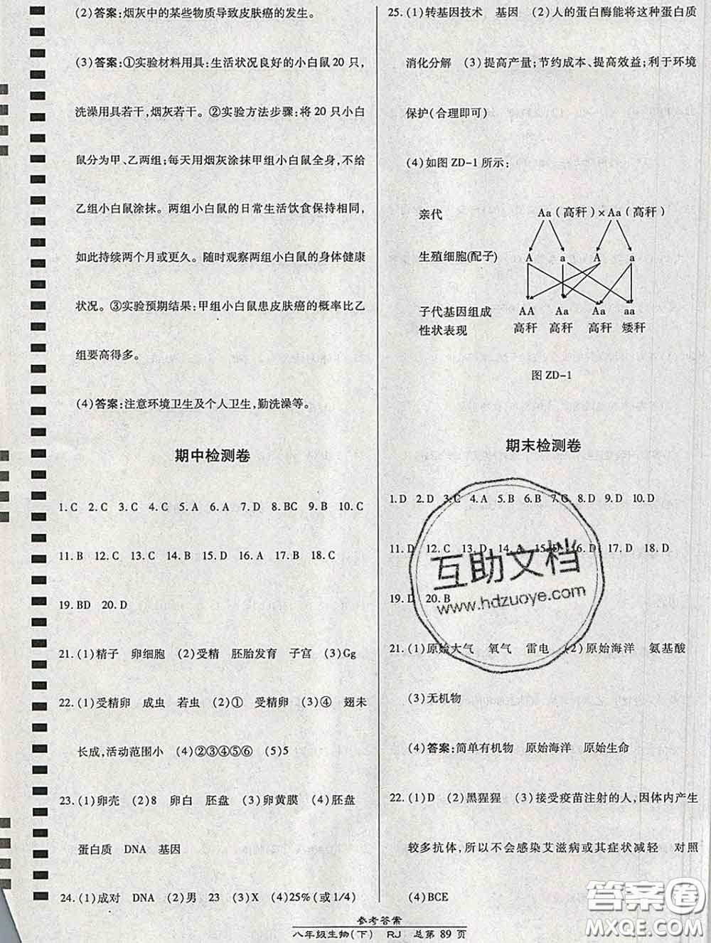 2020春高效課時通10分鐘掌握課堂八年級生物下冊人教版參考答案