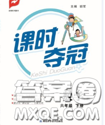 湖北科學(xué)技術(shù)出版社2020新版課時(shí)奪冠六年級(jí)數(shù)學(xué)下冊(cè)人教版答案
