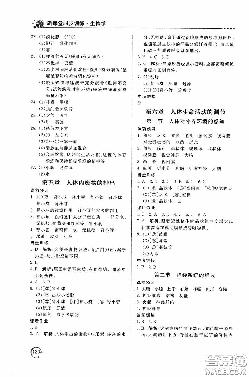 北京教育出版社2020新課堂同步訓練七年級生物學下冊人民教育版答案