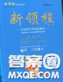 延邊大學出版社2020新版新領程叢書新領程六年級數(shù)學下冊人教版參考答案