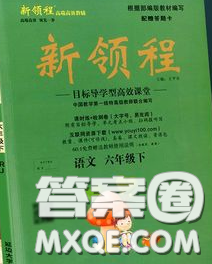 延邊大學(xué)出版社2020新版新領(lǐng)程叢書(shū)新領(lǐng)程六年級(jí)語(yǔ)文下冊(cè)人教版參考答案
