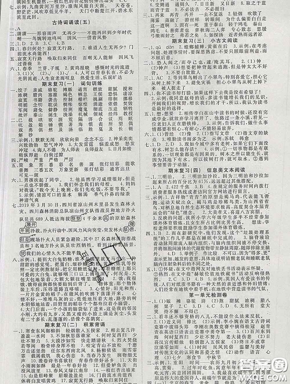 延邊大學(xué)出版社2020新版新領(lǐng)程叢書(shū)新領(lǐng)程六年級(jí)語(yǔ)文下冊(cè)人教版參考答案